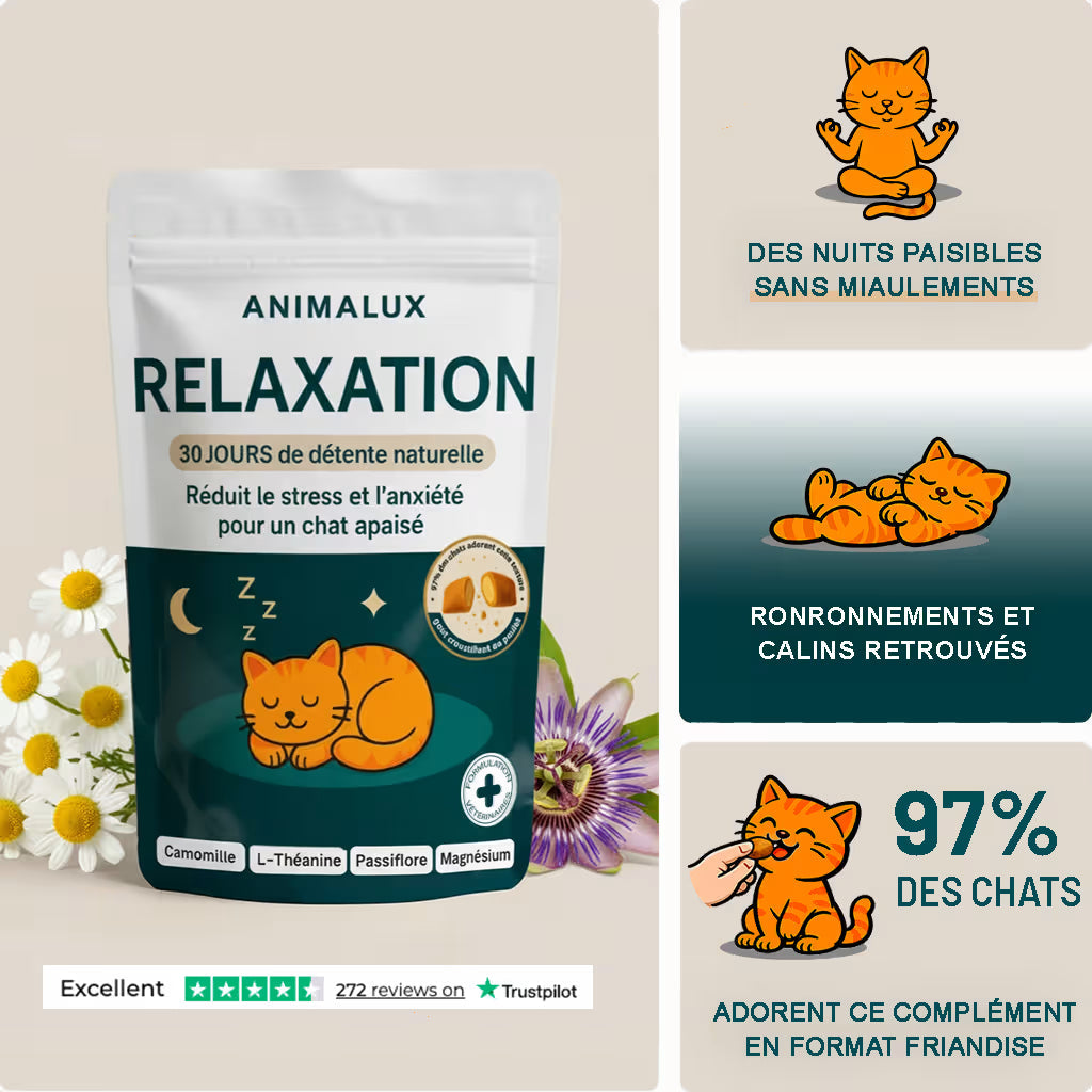 Bouchées Relaxation