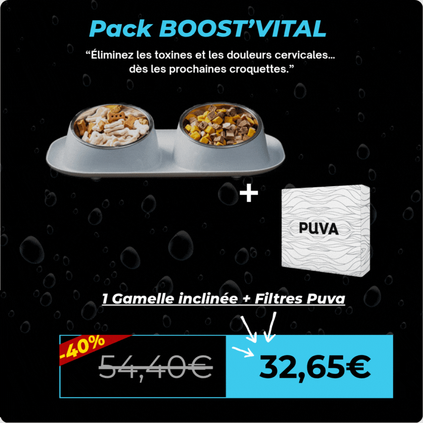 Pack Gamelle + Filtres Puva