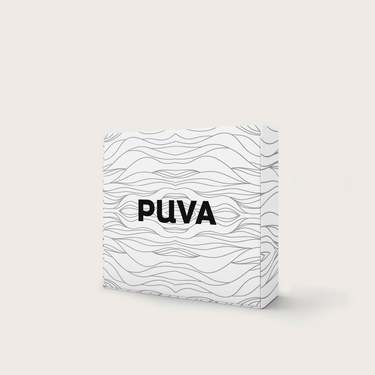 Pack 1 an de filtration Puva