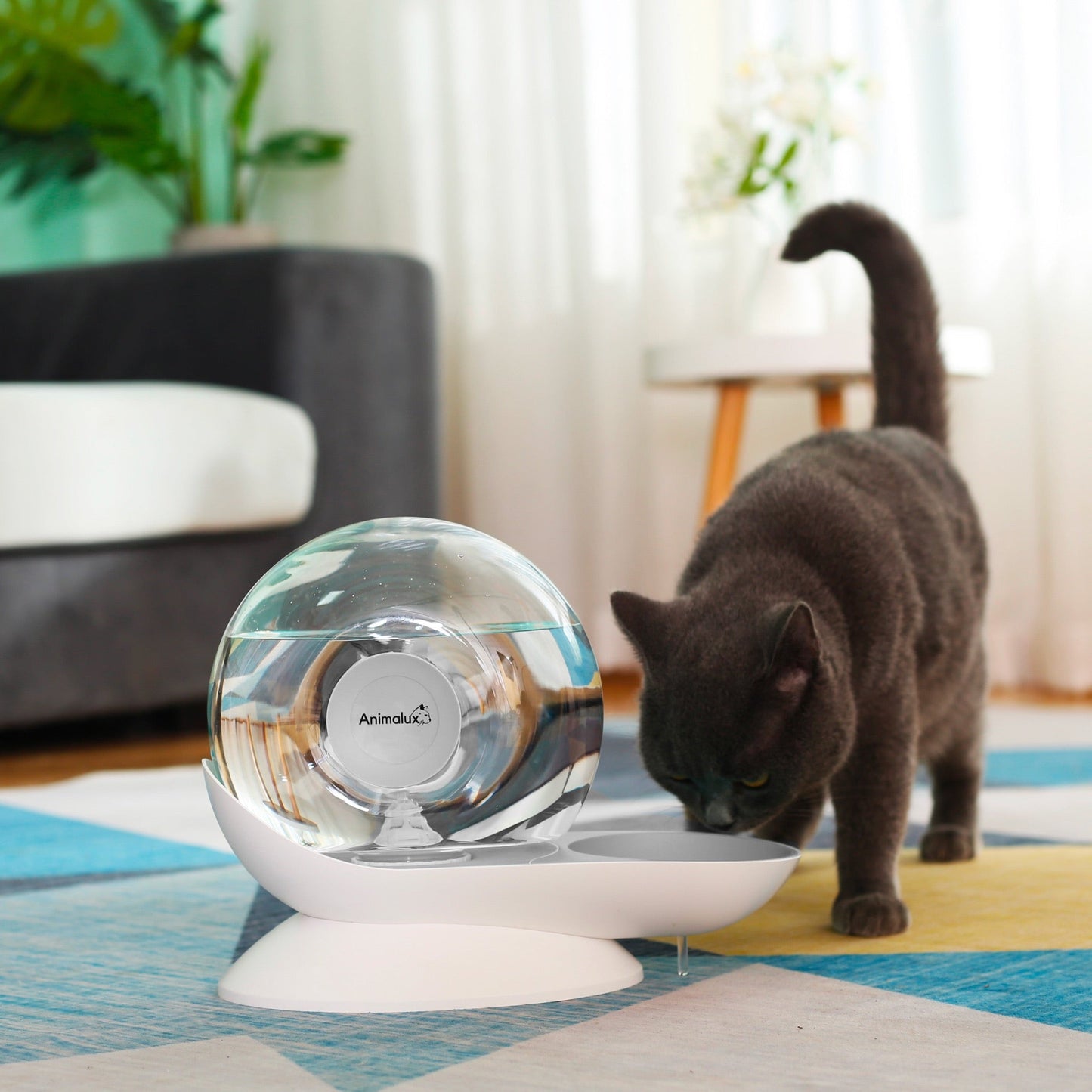 Fontaine a Eau Chat Aquafons Gris Animalux, Front Side #couleur_gris perle