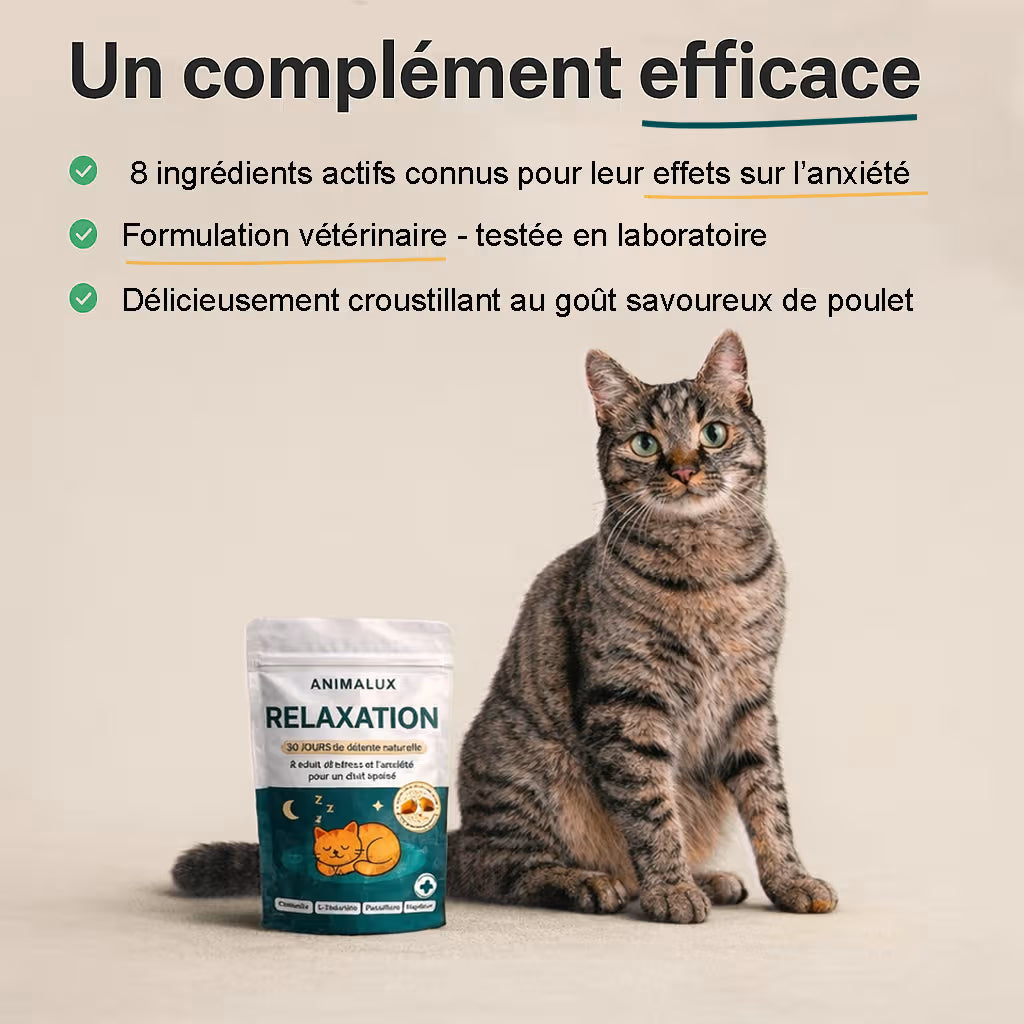 Compléments - Relaxation
